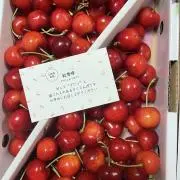 さく