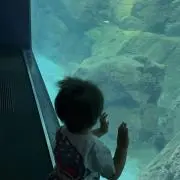 さちこの画像