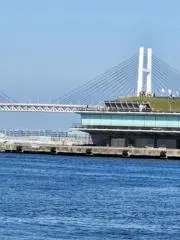スクリューの画像