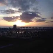 綾鷹