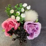 カリカリの画像