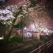 しのやまの画像