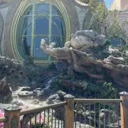 ⭐︎ファンタジア⭐︎の画像