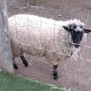 ヒロの画像