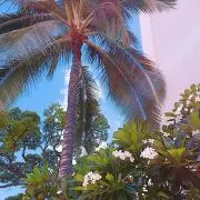 【断捨離中】えるたんの画像