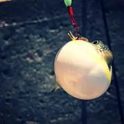 いぐにーる