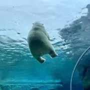 まりえ︎★プロフ必読7/4-6発送‪不可の画像
