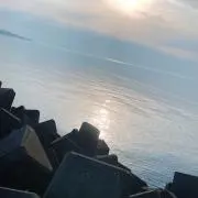 ぴーちゃんの画像