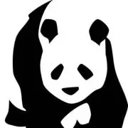 pandaちゃんの画像