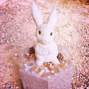 エリ∞断捨離中の画像