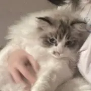 こーあ