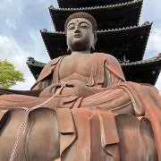フジの画像