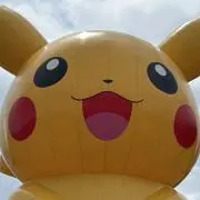 プリンの画像
