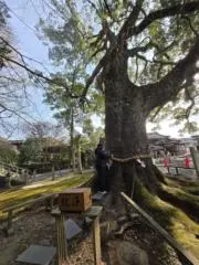 ゆうひろの画像