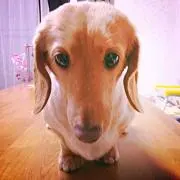 まこちゃん