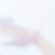 ♡⋈♡の画像
