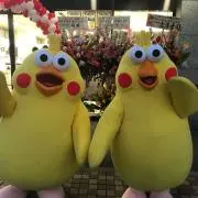 にゃんぴの画像