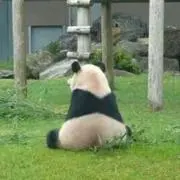さやちん♪