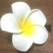 めみの画像