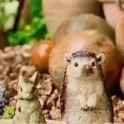 なっちゃん