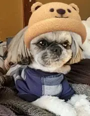 うあの画像