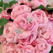 roseの画像