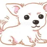 ★もも★