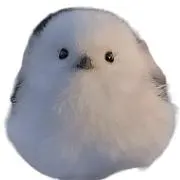 ひよこの画像