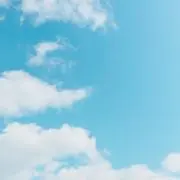 ねこの画像