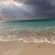 しゅん