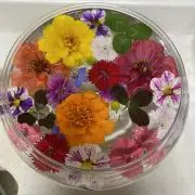 Jewel