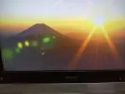 ハルオ