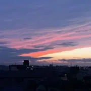 ポポルの画像