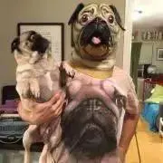 にぃーや コメ逃げNGの画像