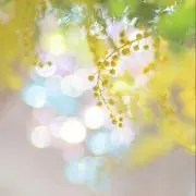 みいぱ