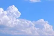 shamumiの画像