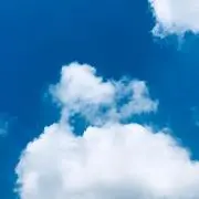 主　プロフ読み推奨の画像