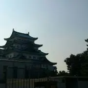 たろいも