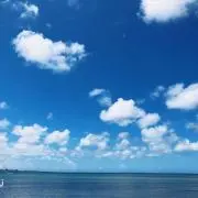 まぁちの画像