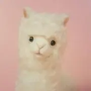 Fujiの画像