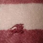 きゃさりんの画像