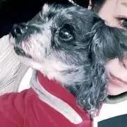 Maaayan