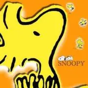 こーし