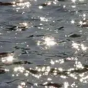 マの画像