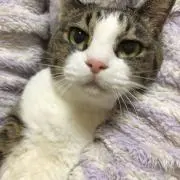あぃちゃん