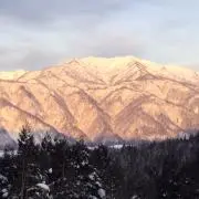 リョーマの画像