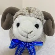 うめ☆の画像