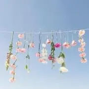 hanahomeの画像