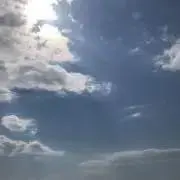 ちっちの画像