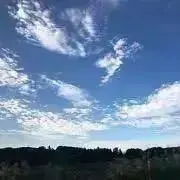 pouの画像